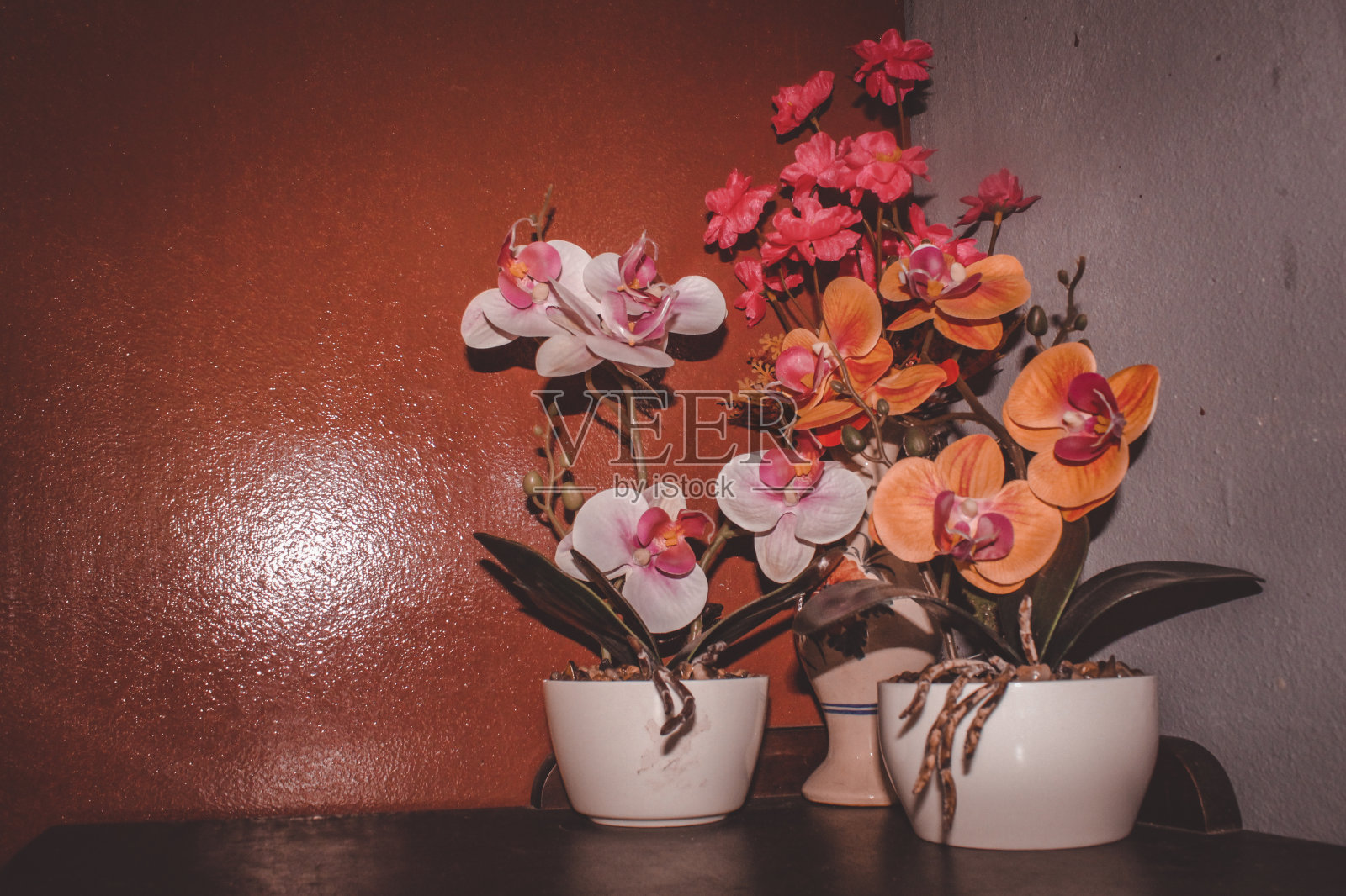 装饰照片摄影图片