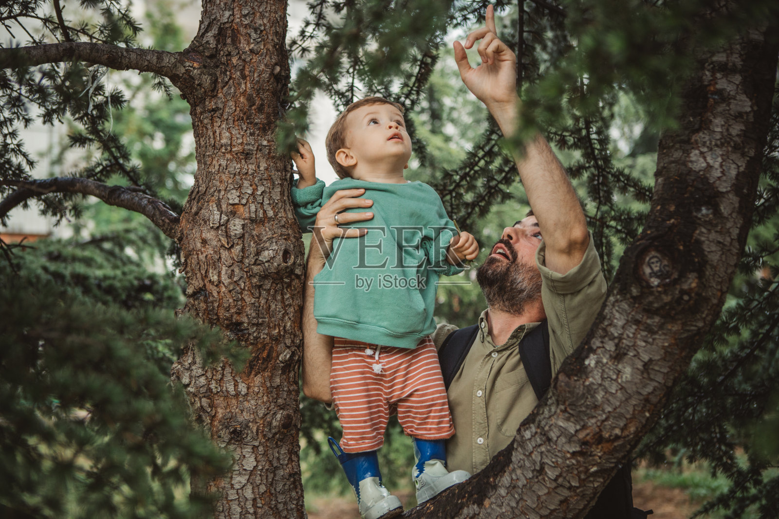 父亲和儿子节照片摄影图片