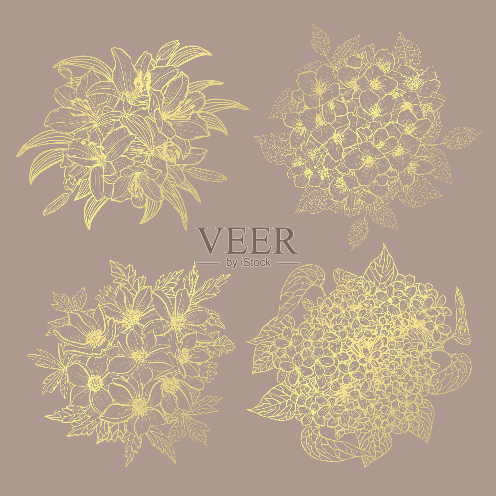 手绘花卉装饰插画图片素材