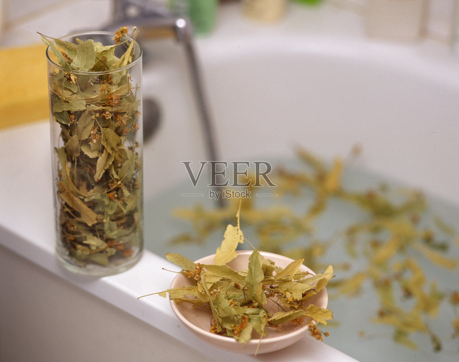 酸橙树照片摄影图片