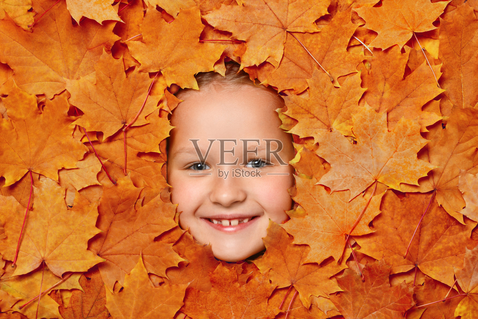 可爱快乐的小女孩的脸在秋天的树叶。俯视图的孩子照片摄影图片