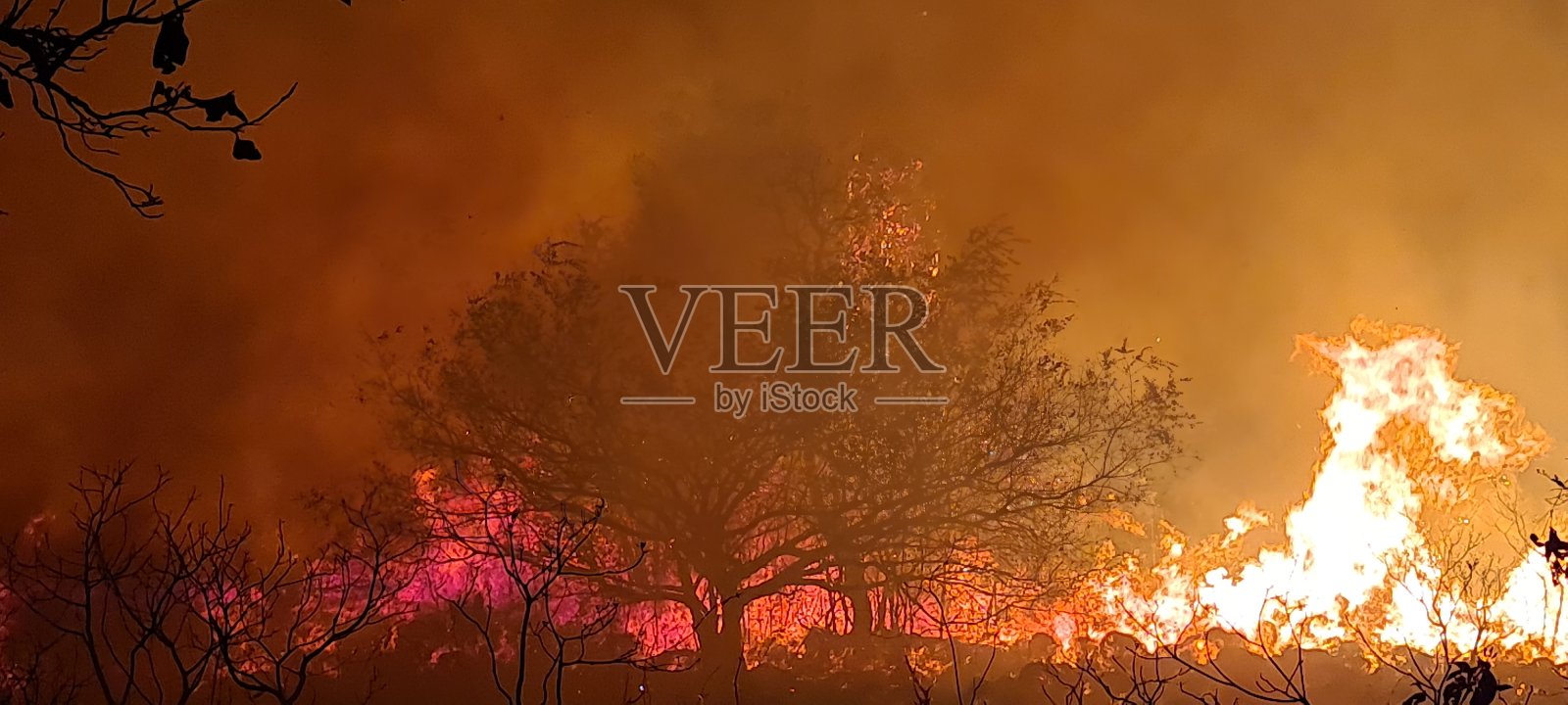 火灾照片摄影图片