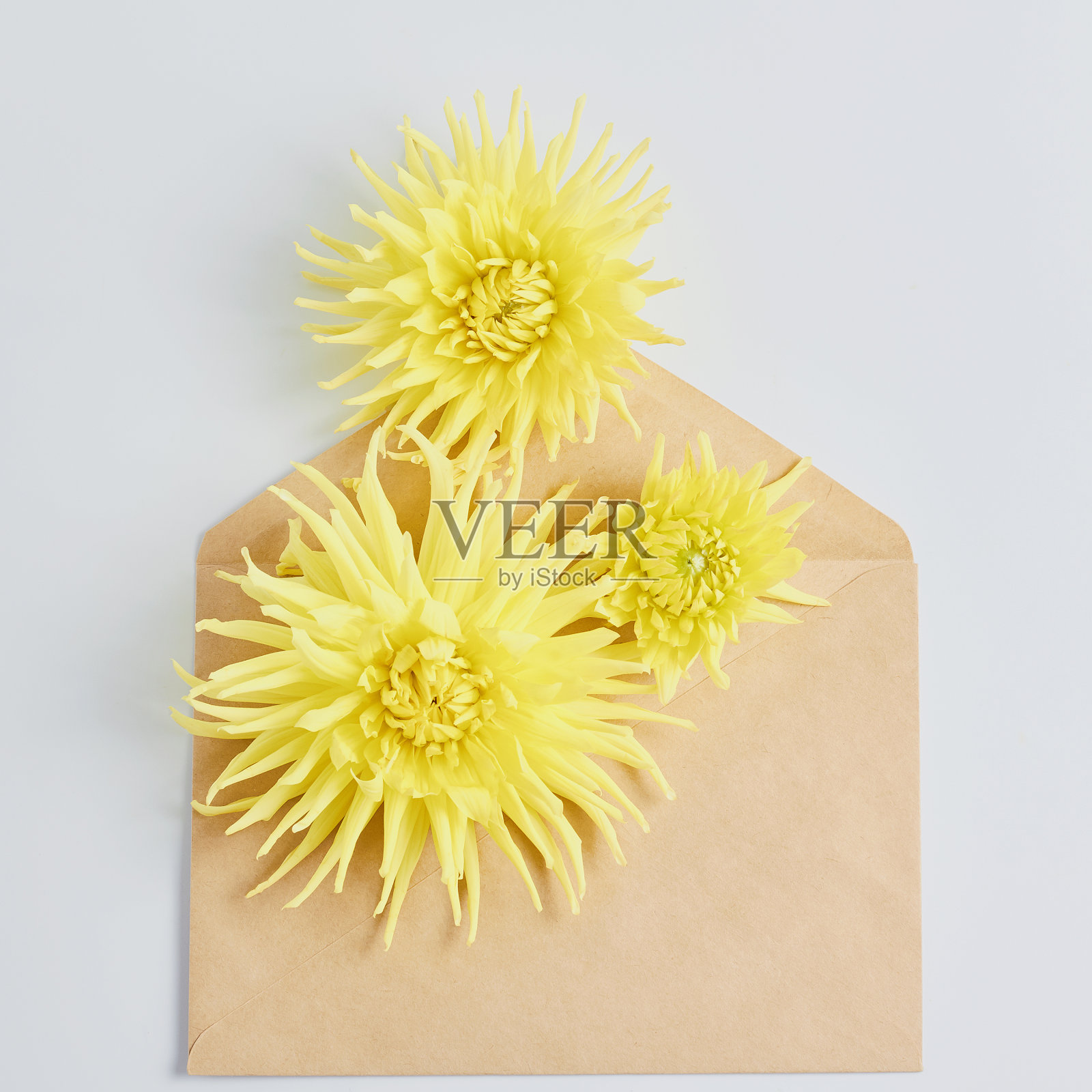 结婚的概念。白色的桌子上放着黄色的大丽花。用牛皮纸装在信封里的度假请柬。平铺，方框照片摄影图片