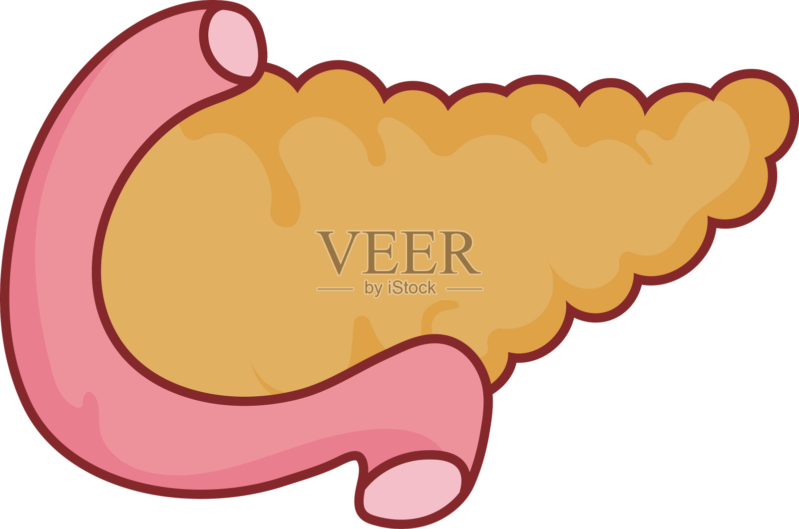 胰腺器官平面风格图标设计设计元素图片