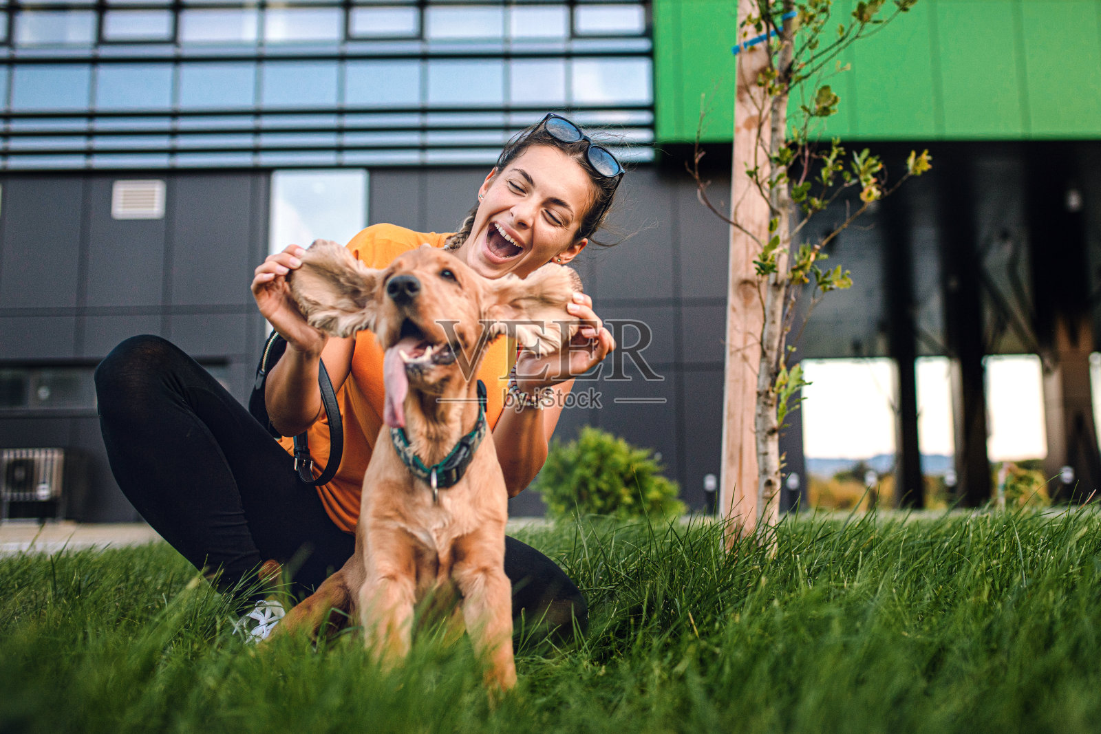 美丽的女人和她的狗玩照片摄影图片