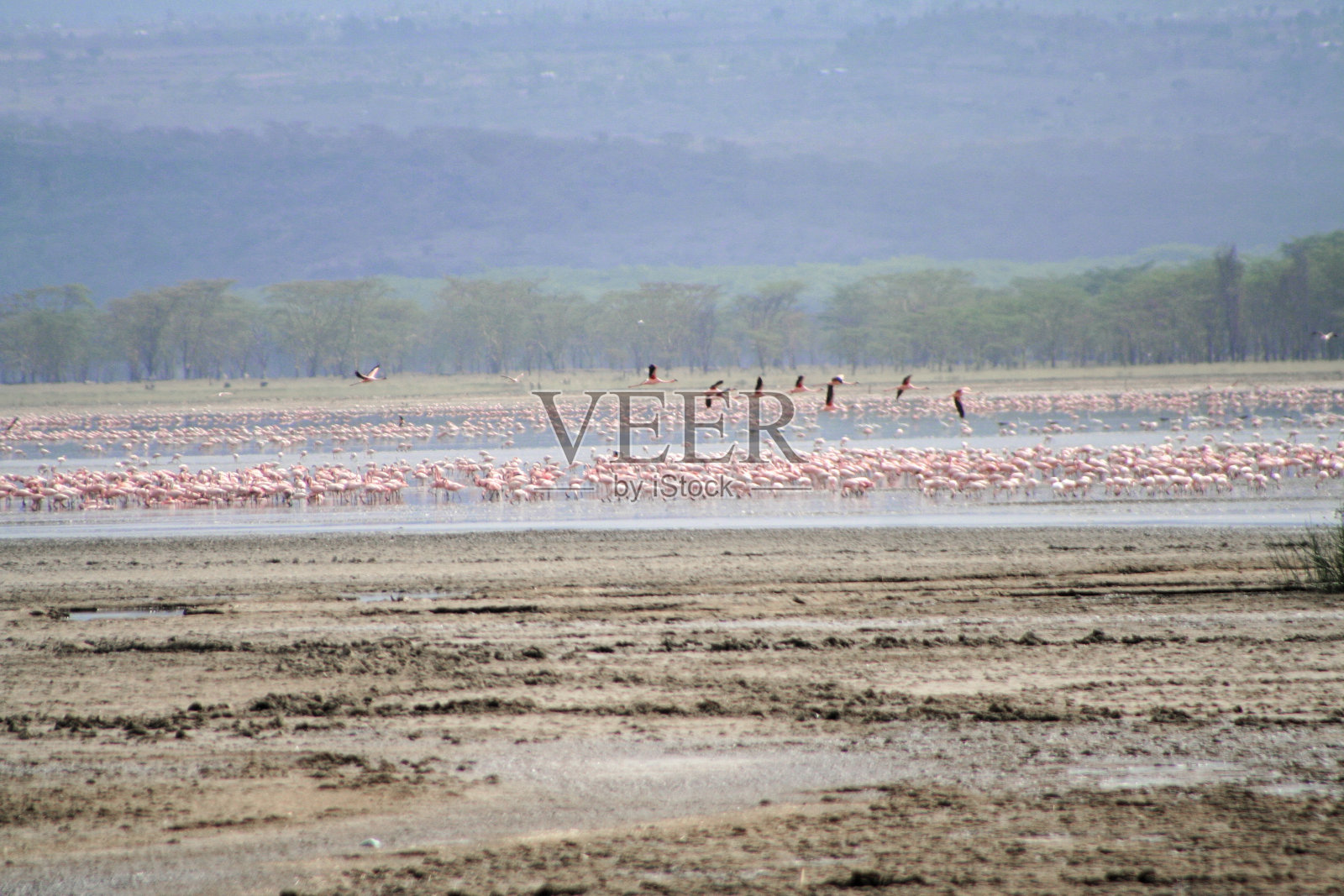 纳库鲁湖国家公园的景观照片摄影图片