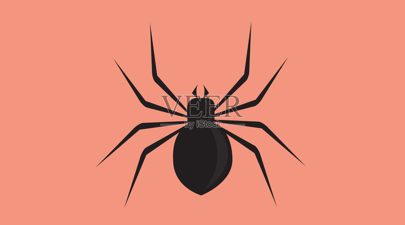 黑蜘蛛插画图片素材