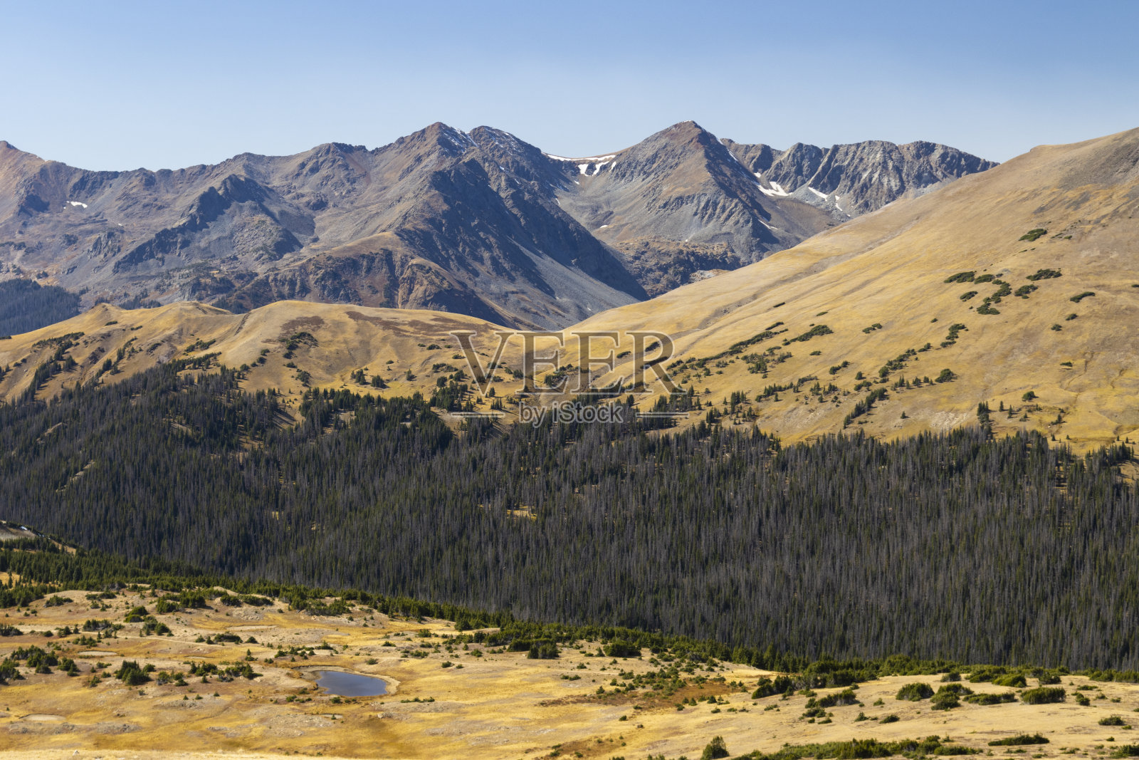 科罗拉多州Trail Ridge路的高山荣耀照片摄影图片