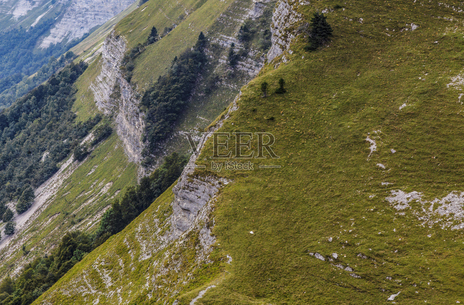 侏罗山细节照片摄影图片