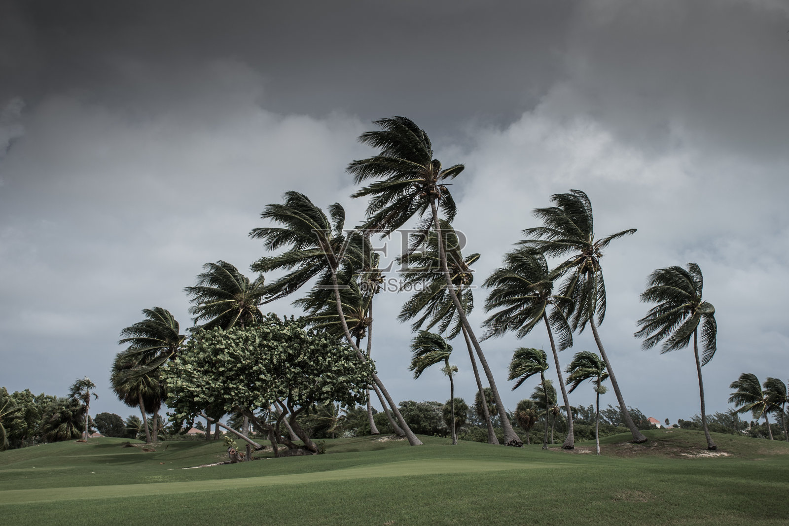 飓风三角洲在开曼群岛照片摄影图片