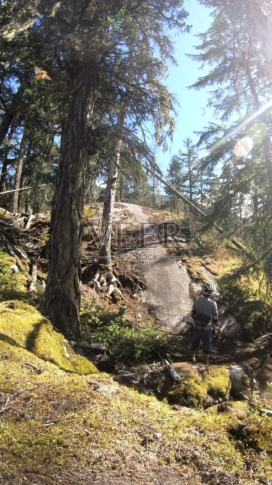 骑山地车的人沿着森林小径骑行照片摄影图片