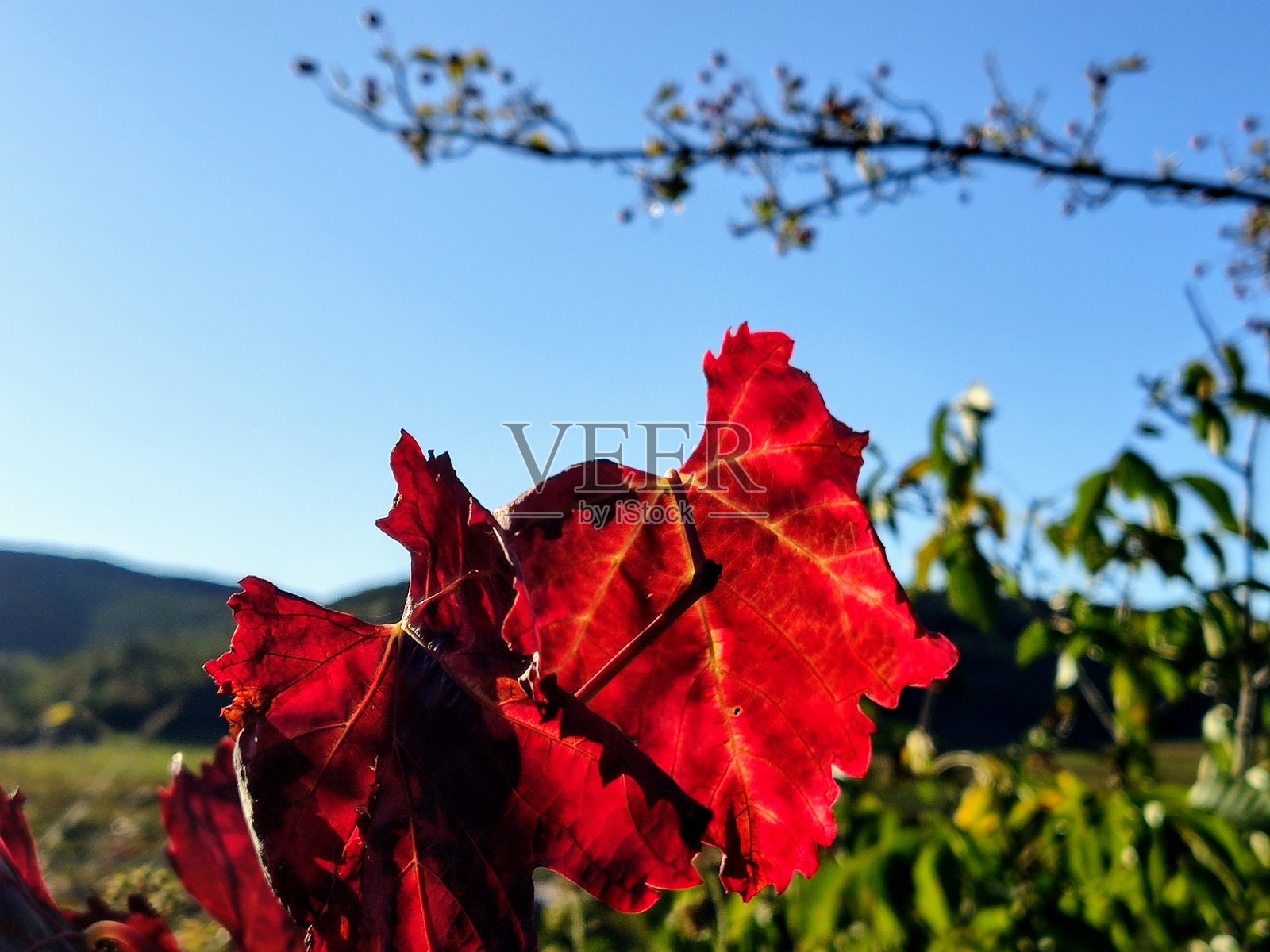 秋天照片摄影图片
