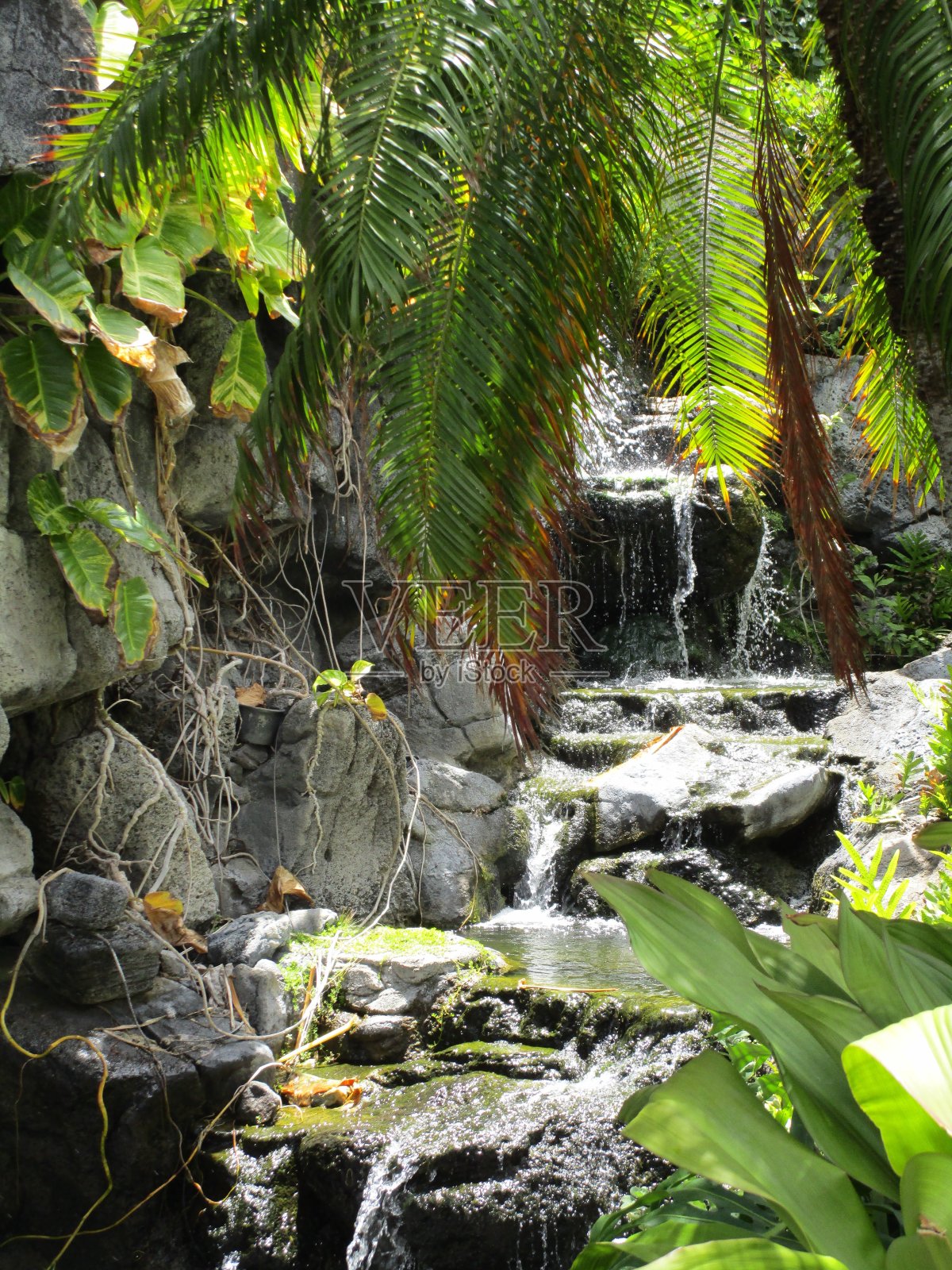 水流的声音照片摄影图片
