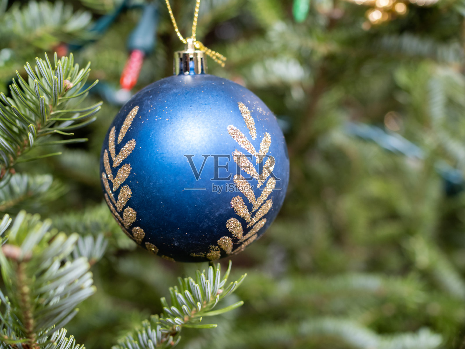 一种蓝球形状的圣诞树装饰品，挂在松树的树枝上照片摄影图片