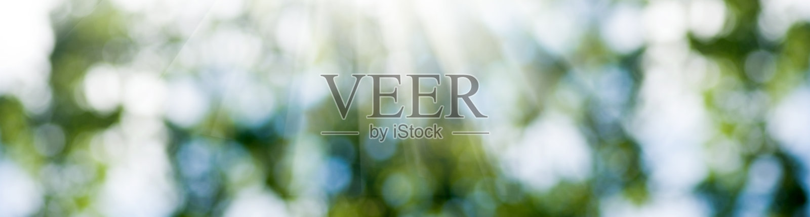 模糊背景上的阳光图像照片摄影图片