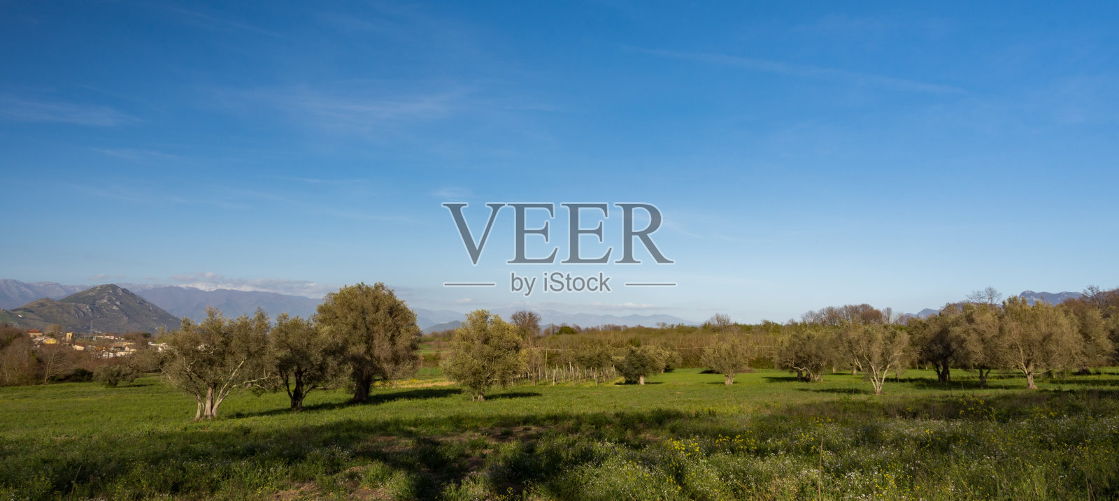 蒂诺坎帕尼亚·费利克斯视图照片摄影图片