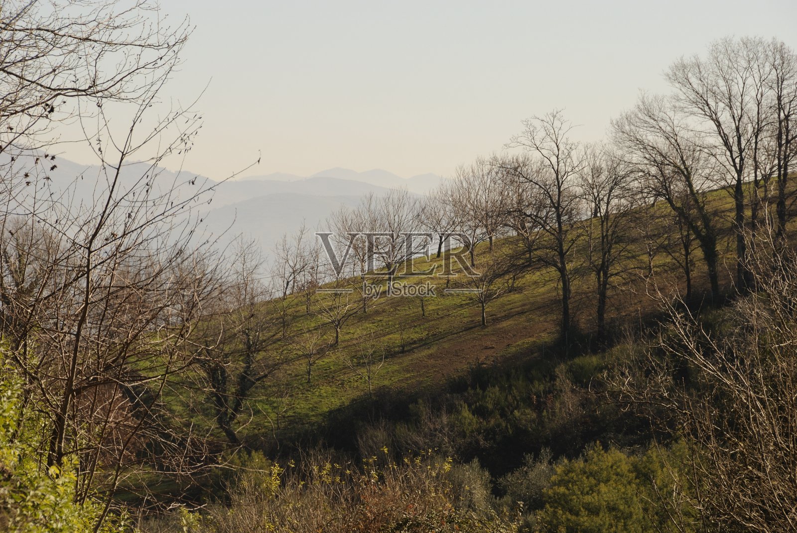 蒂诺坎帕尼亚·费利克斯视图照片摄影图片