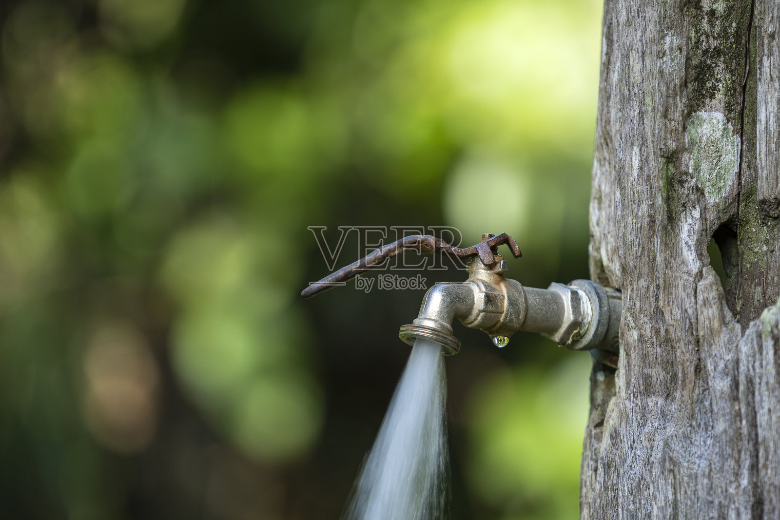 从老树上的水龙头里流出的流水。水的消耗和使用概念照片摄影图片