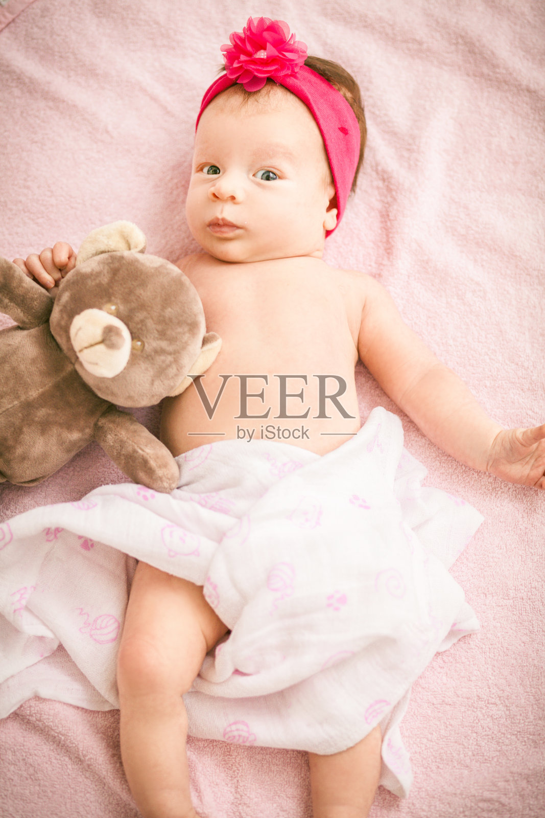 刚出生的女婴照片摄影图片