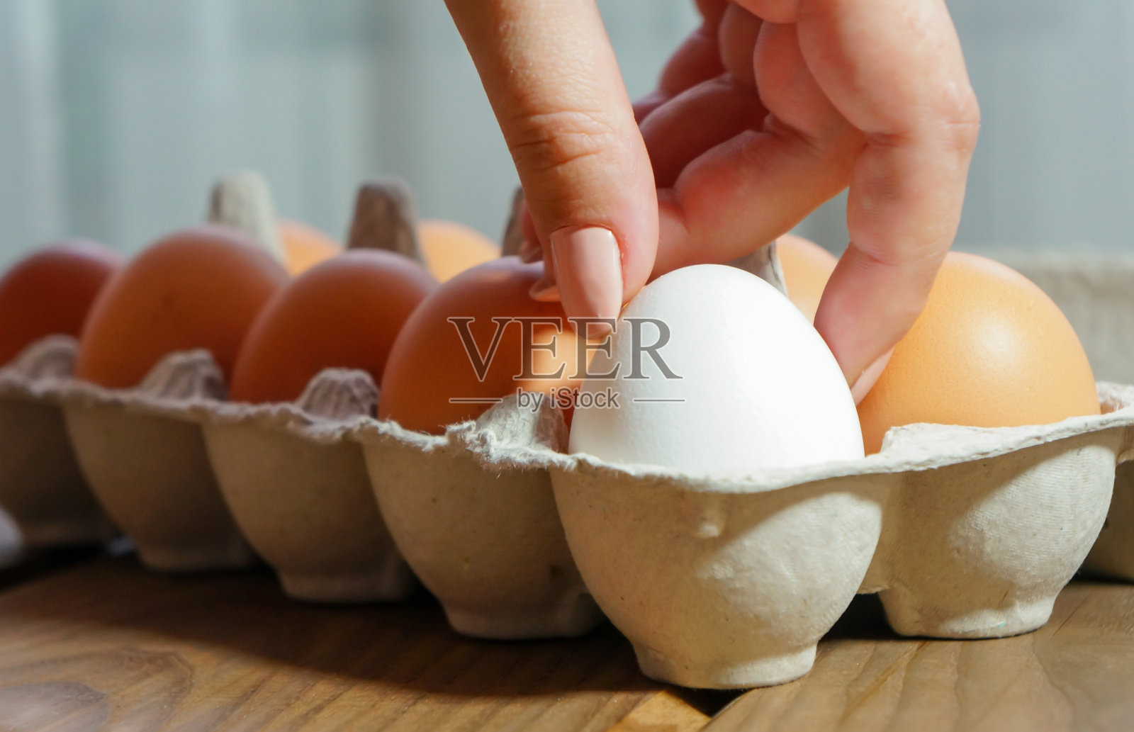女孩的手从纸板箱里拿出一个鸡蛋照片摄影图片