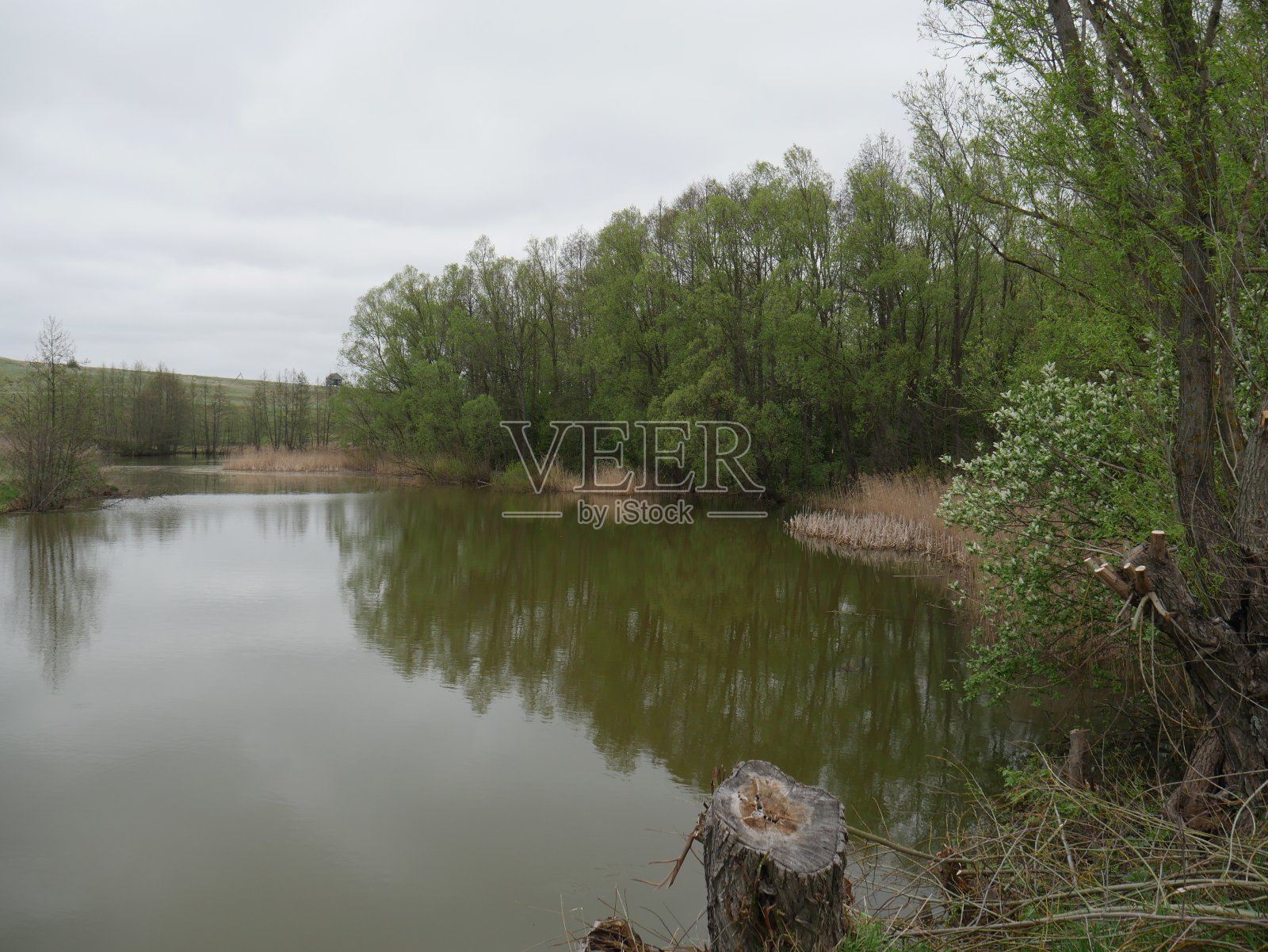 秋天的河流和森林在村子里照片摄影图片