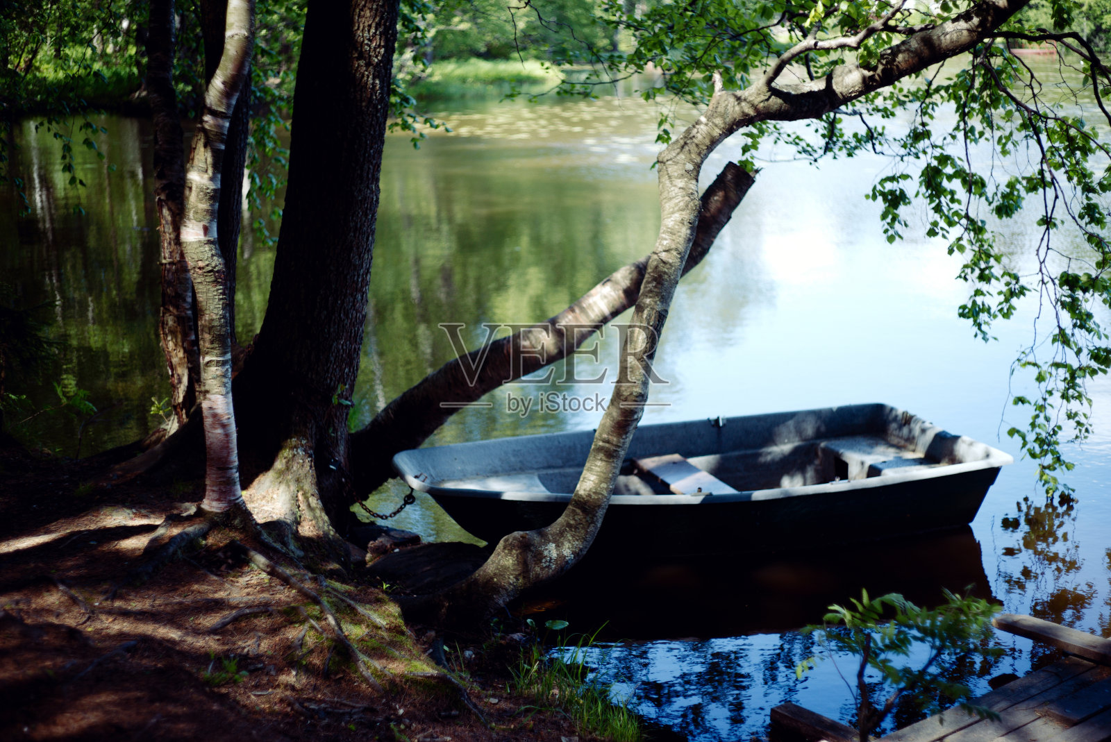 池塘岸边有一条小船。照片摄影图片
