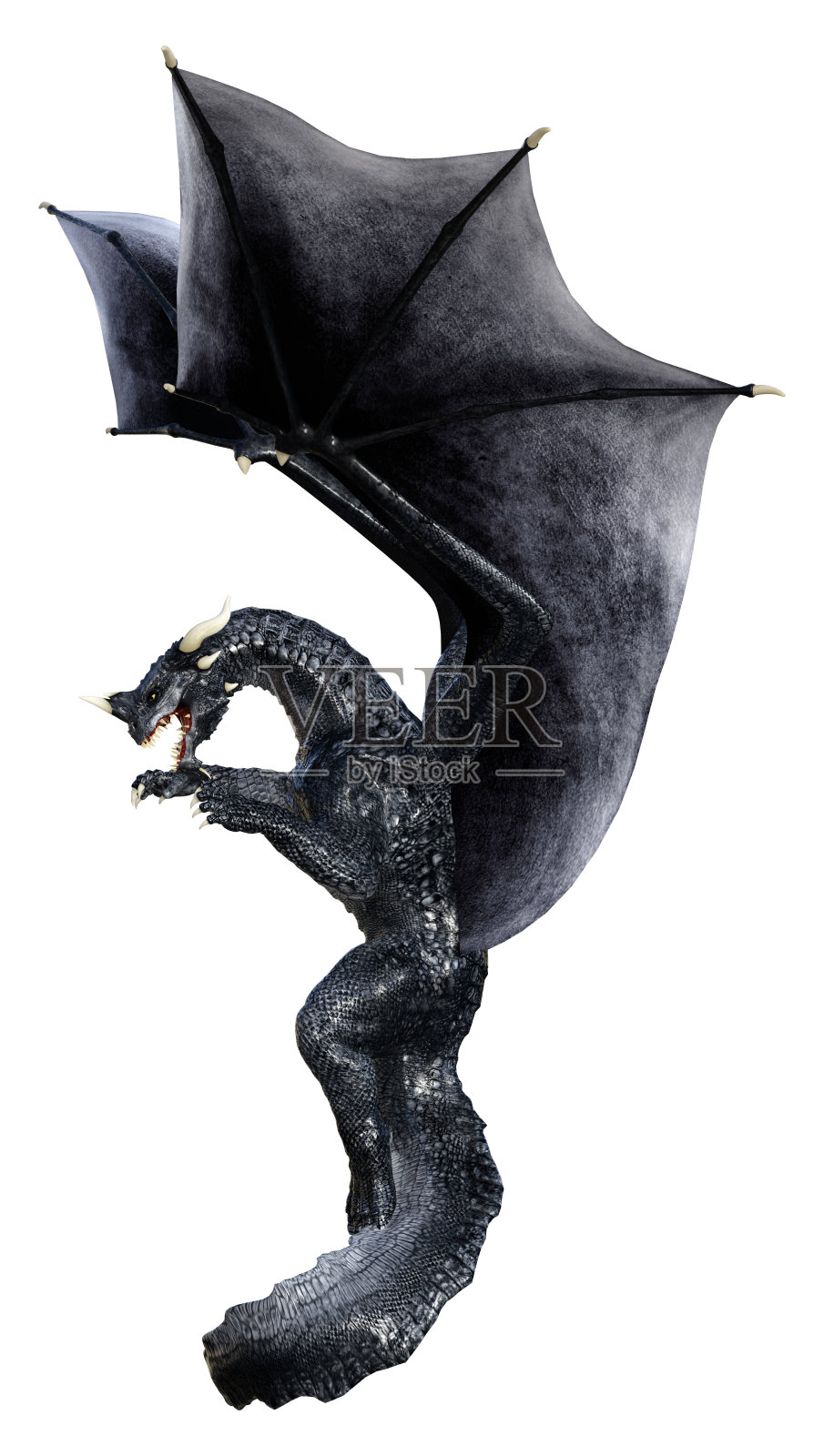 3D插图幻想龙在白色照片摄影图片