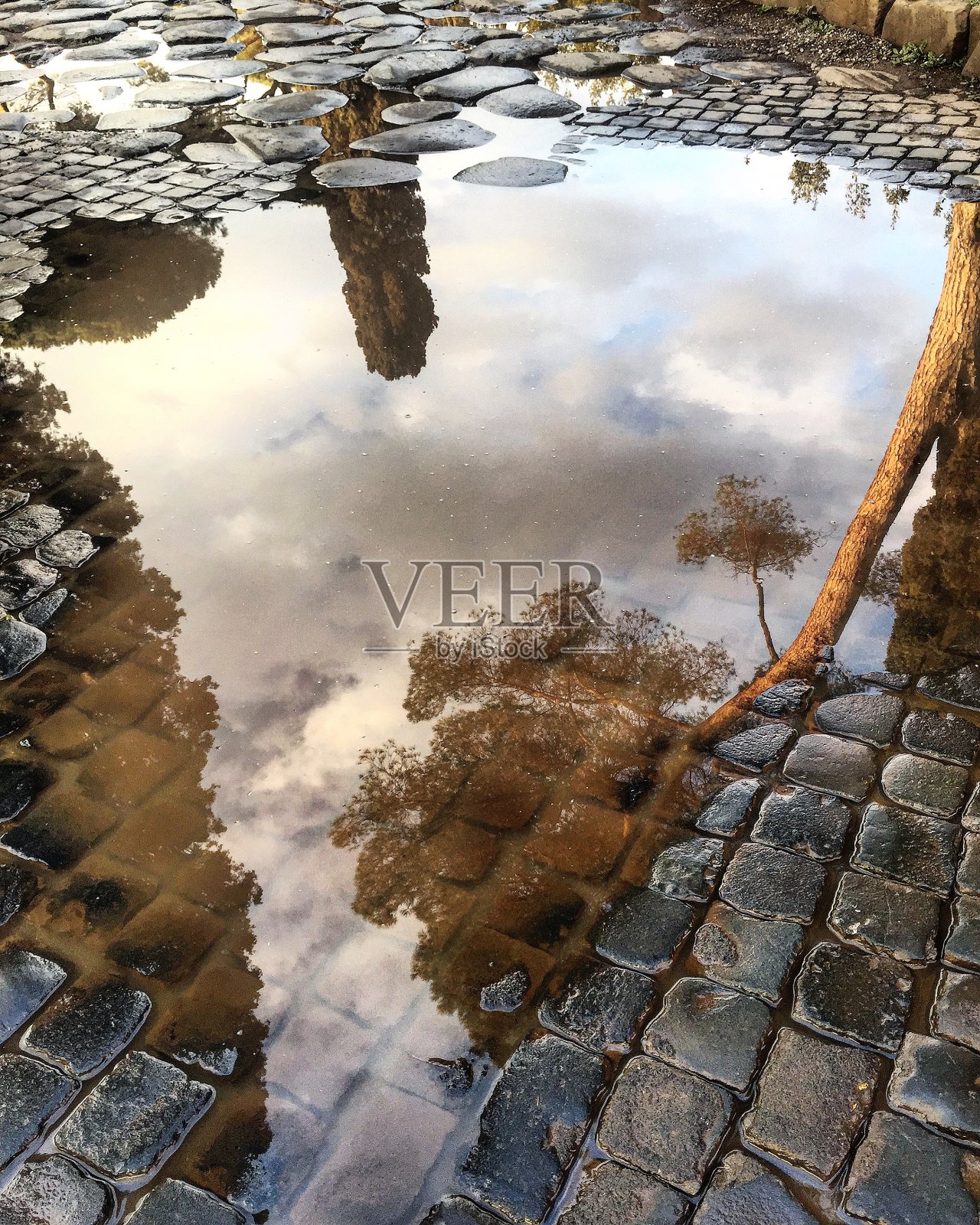 罗马的一个雨天照片摄影图片