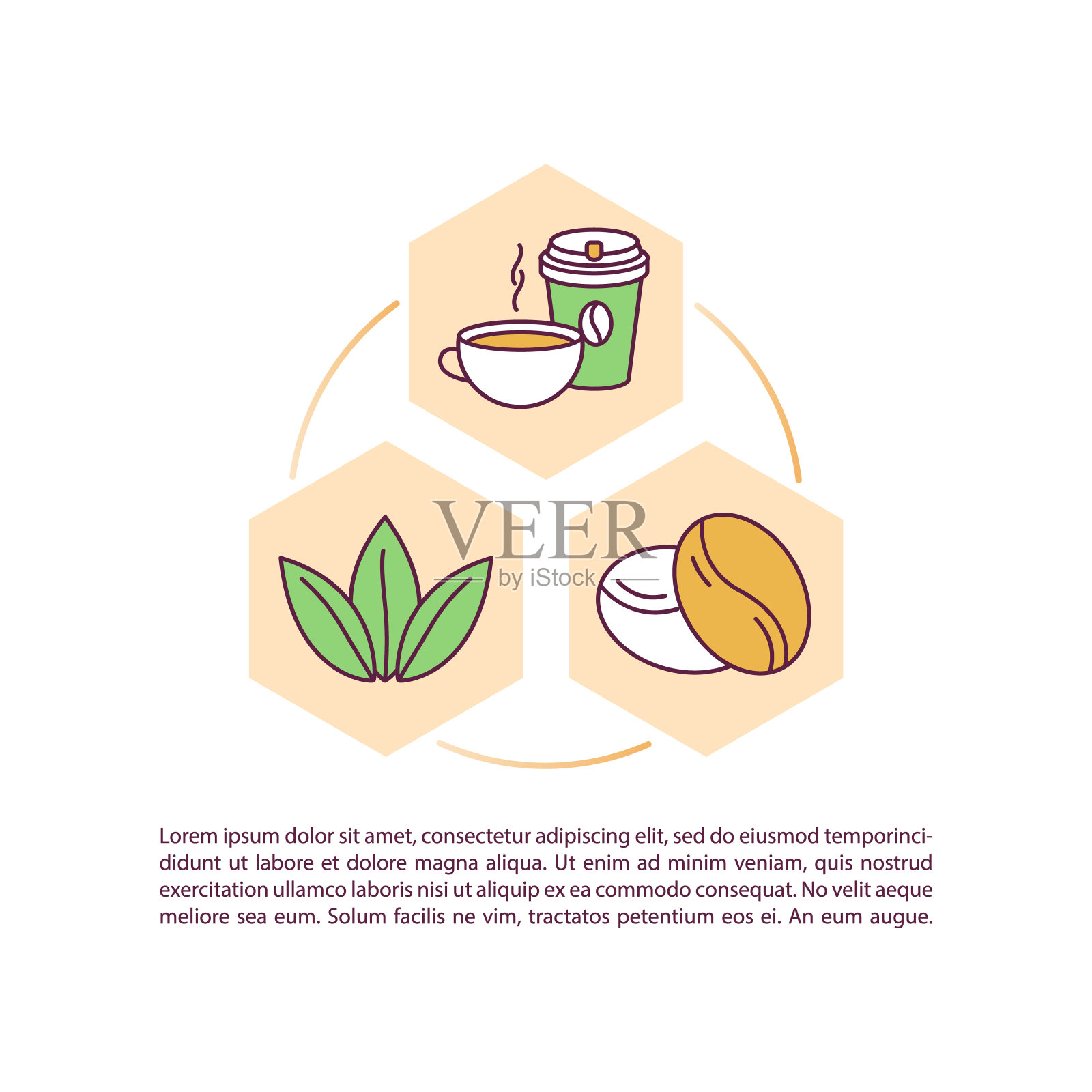 咖啡因天然刺激能量概念图标与文字插画图片素材