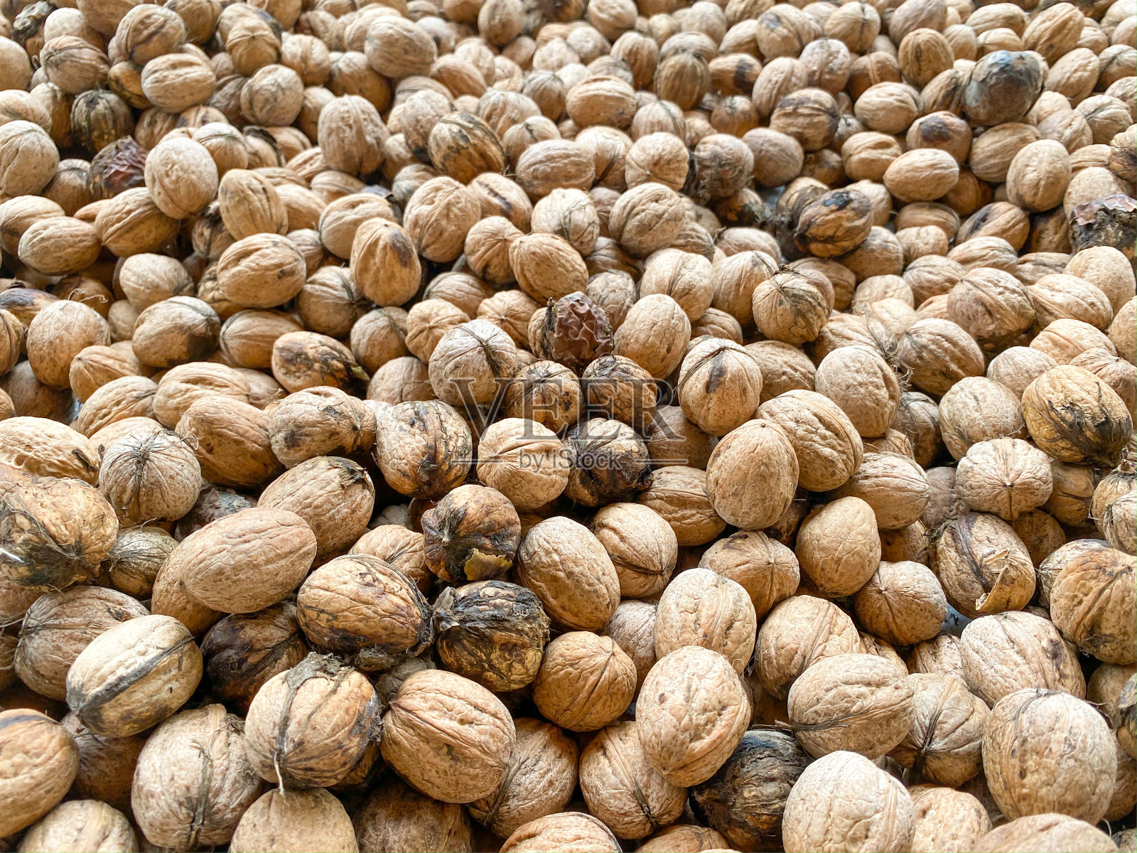 核桃打开了壳，收集起来照片摄影图片