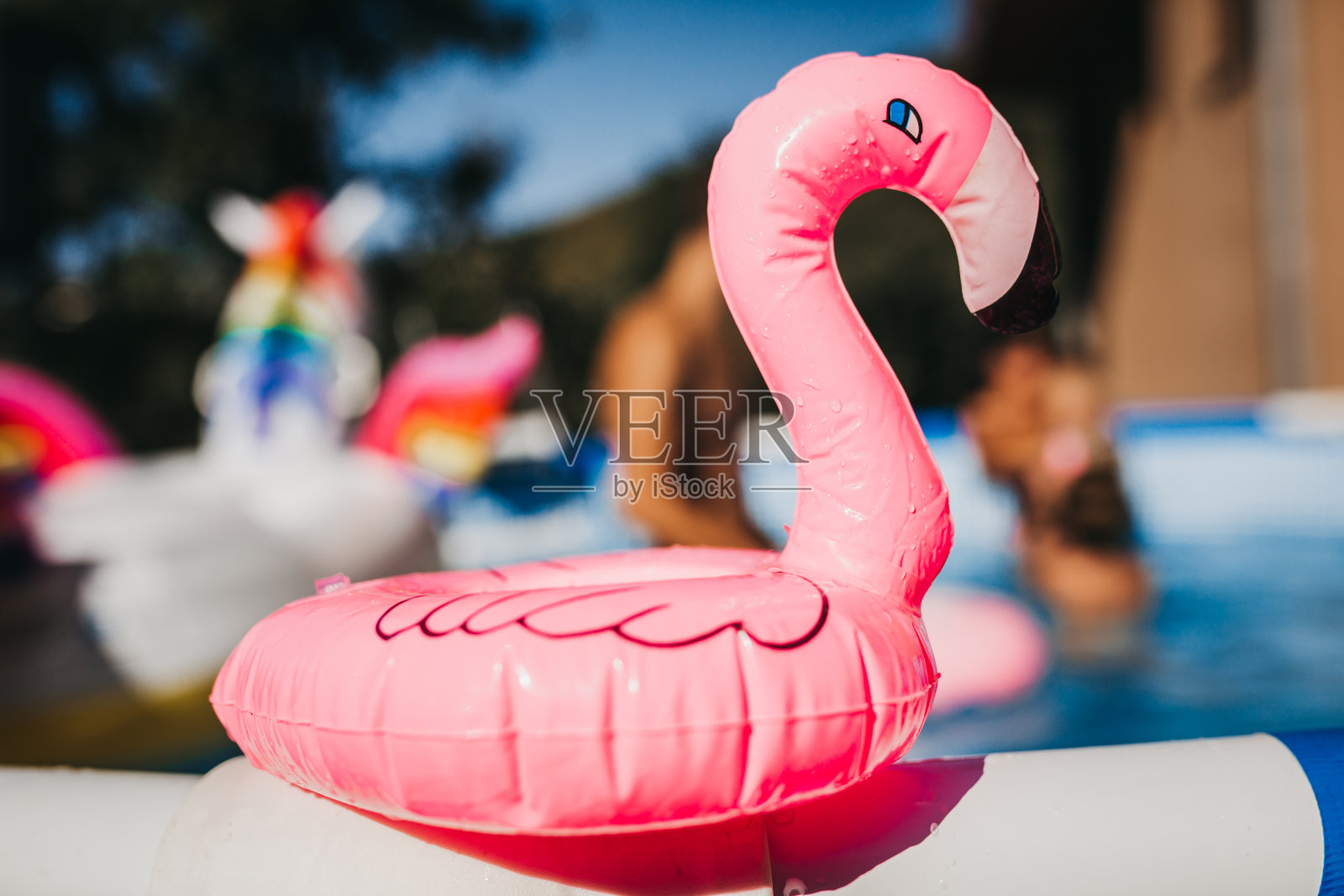 美丽的家庭在游泳池里玩得开心照片摄影图片