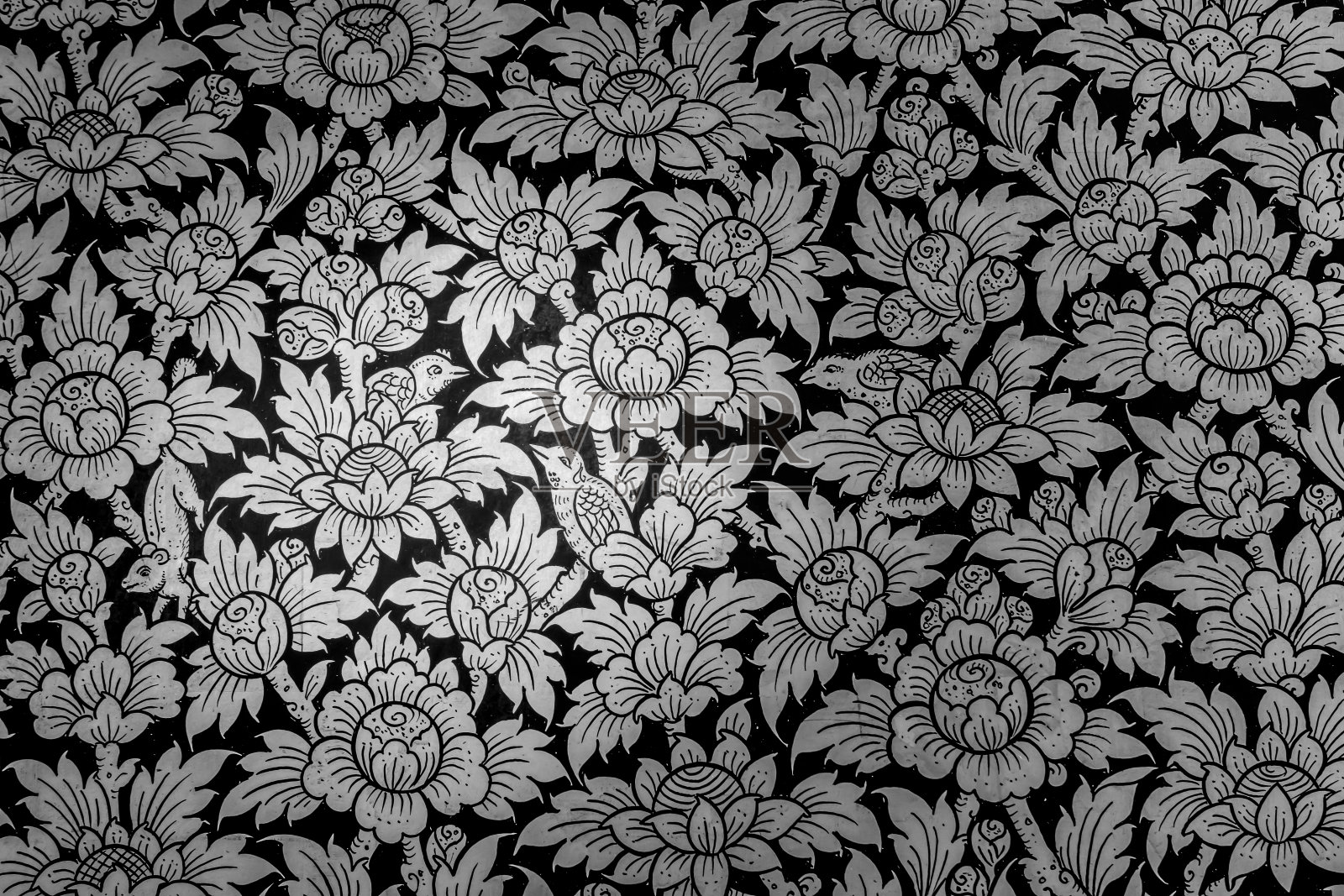 泰国模式照片摄影图片