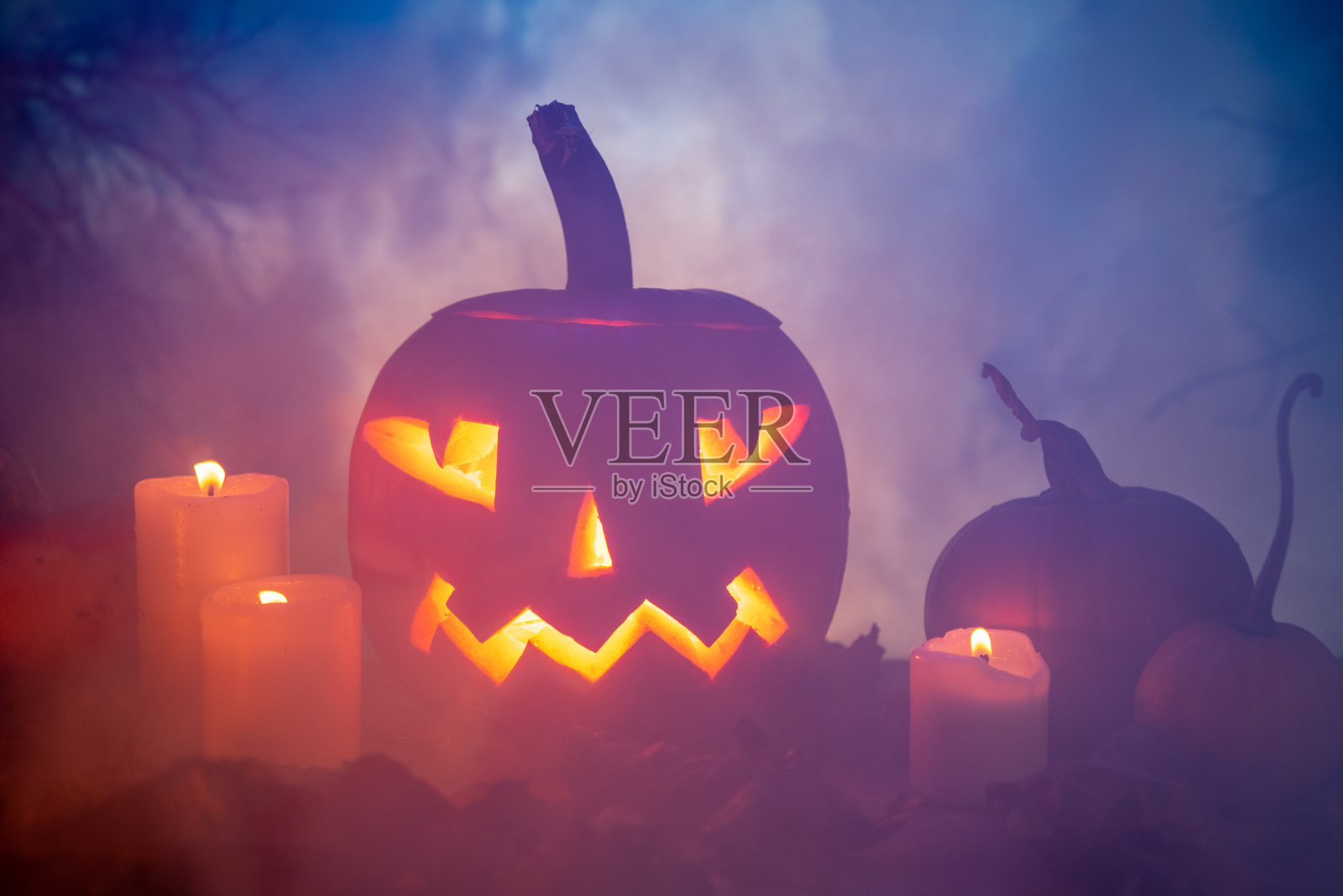 雾中的万圣节南瓜照片摄影图片