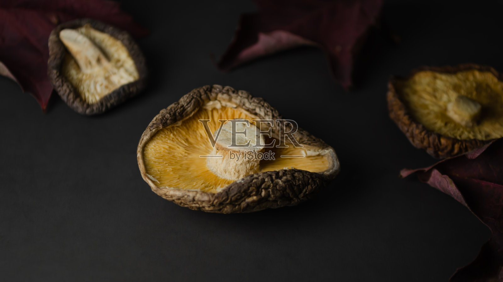 黑色背景上的干香菇，用于烹饪。照片摄影图片