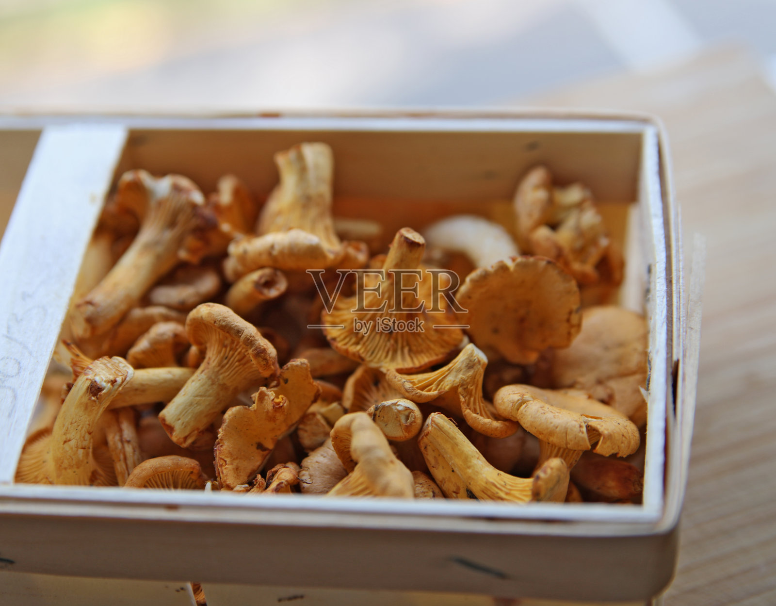 金鸡油菌放在篮子里。照片摄影图片