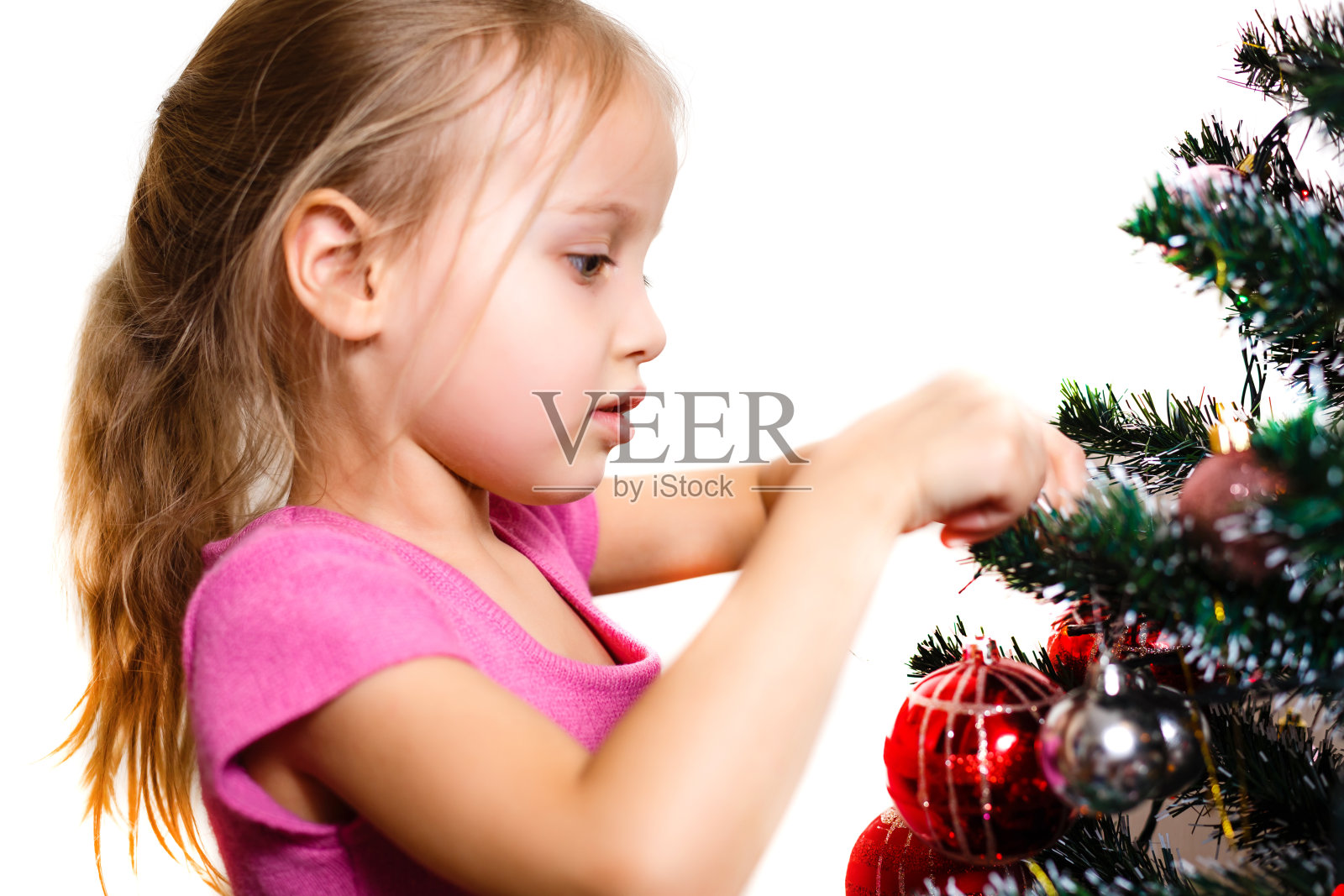 一个可爱的学龄前儿童准备把球放在她的小圣诞树上。在白色的背景上。照片摄影图片