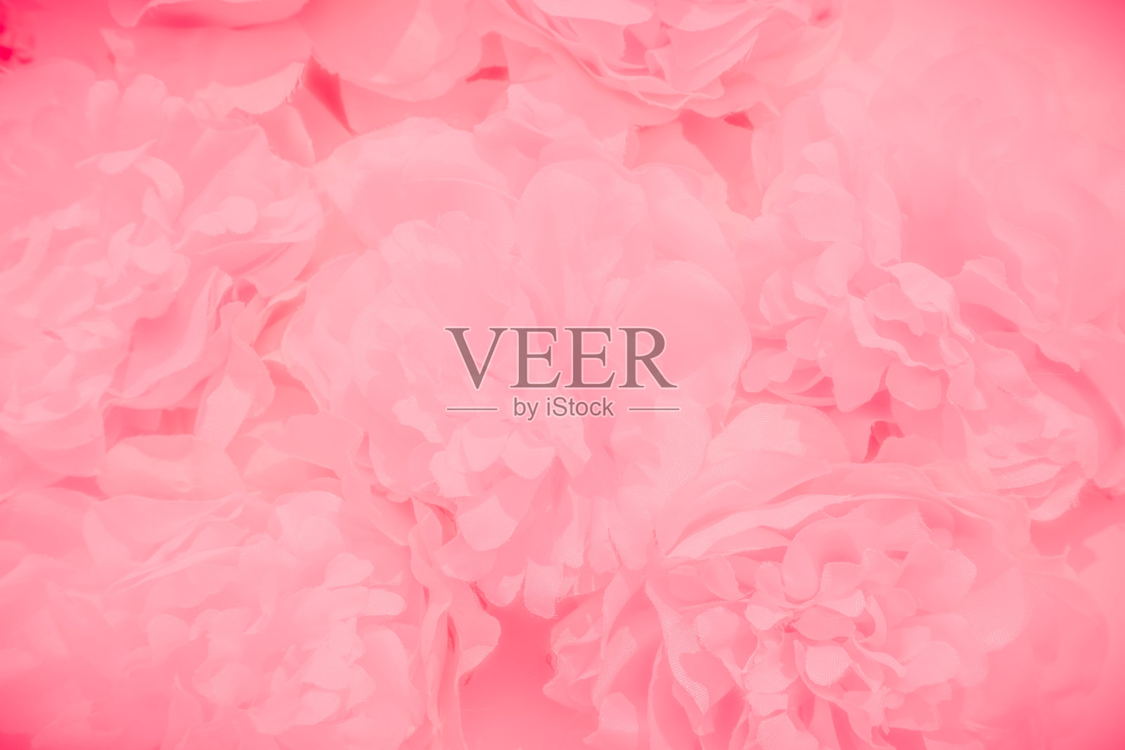 美丽的抽象颜色橙色花在白色的背景，白色的花框架，粉红色的叶子纹理，粉红色的背景，红色的叶子和红色的花在黑色的背景照片摄影图片