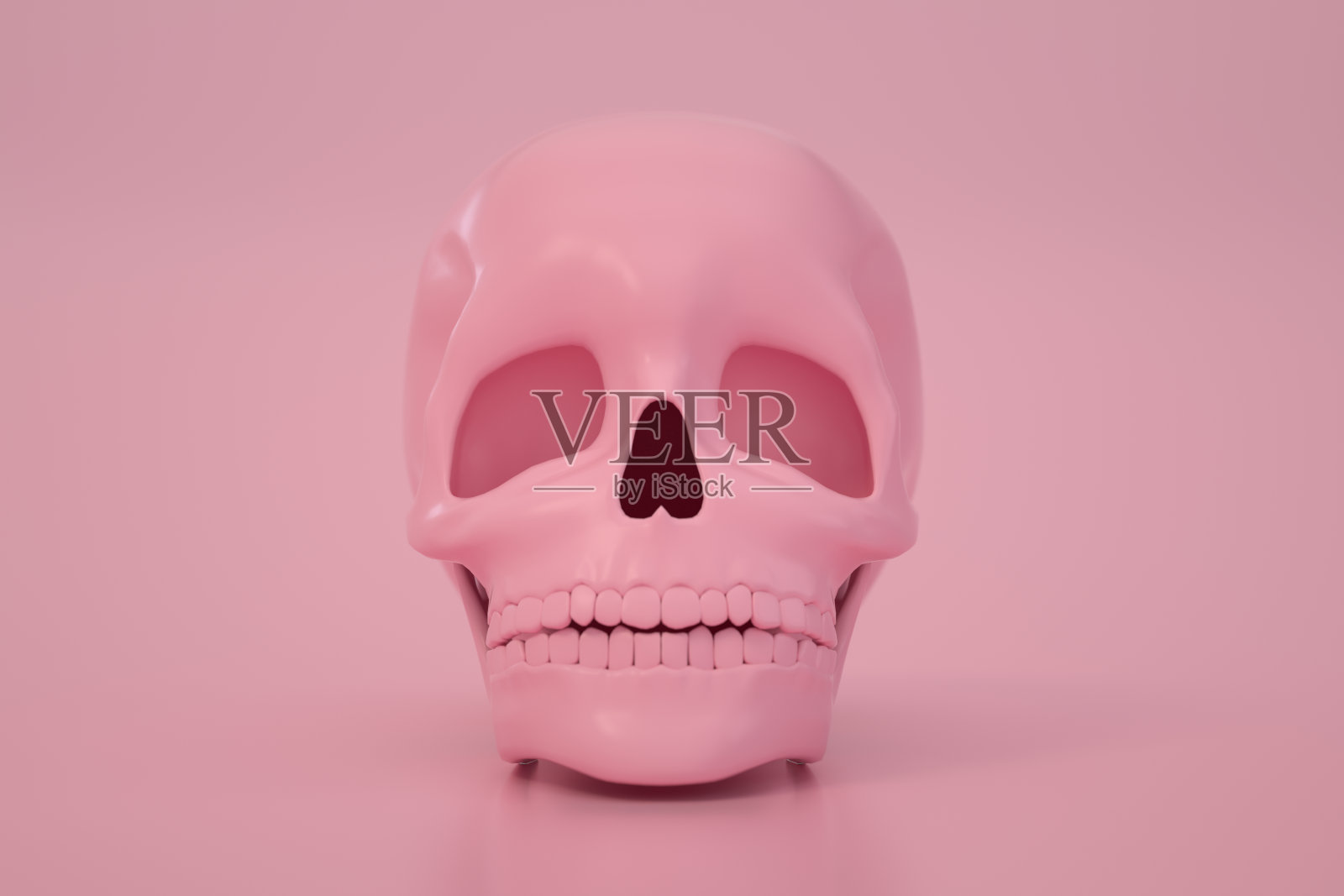 3 d的头骨照片摄影图片