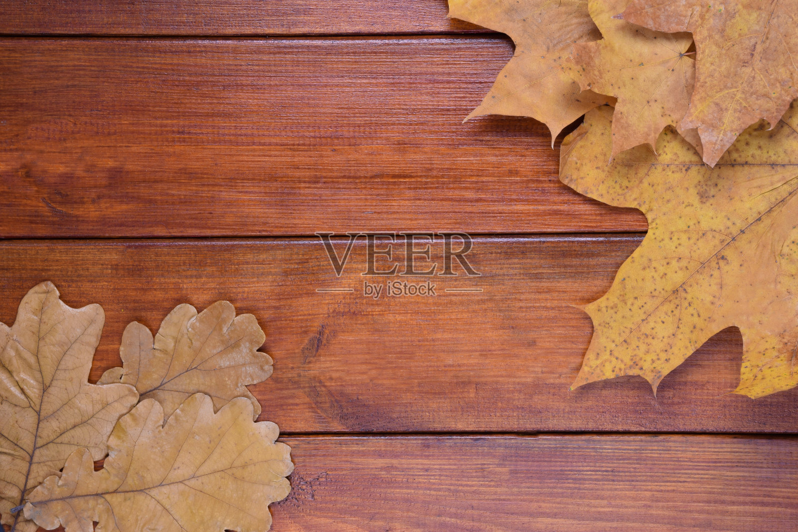 橡树和枫叶躺在棕色的木头背景上。在中心有一个地方刻字照片摄影图片