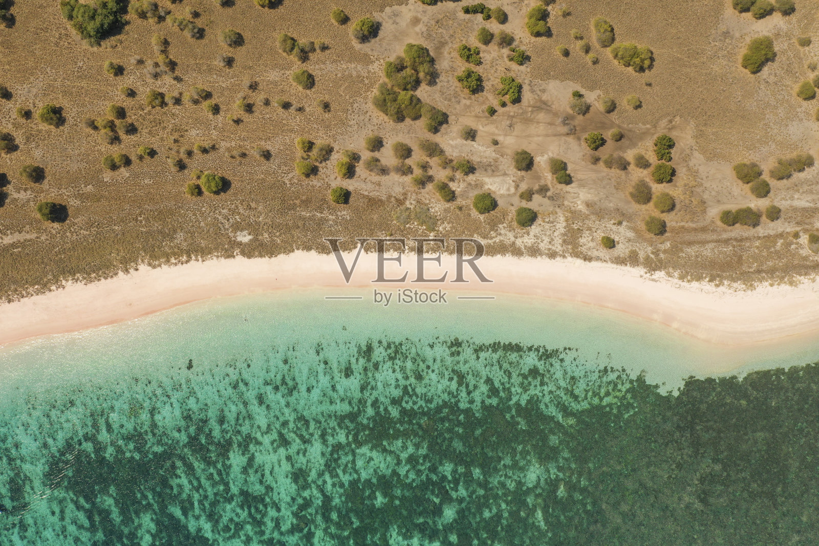 淡粉色沙滩，清澈的海水和珊瑚礁，热带鱼和一些强大的水流，被称为粉红海滩或长岛位于科莫多国家公园，东努沙登加拉，印度尼西亚。照片摄影图片