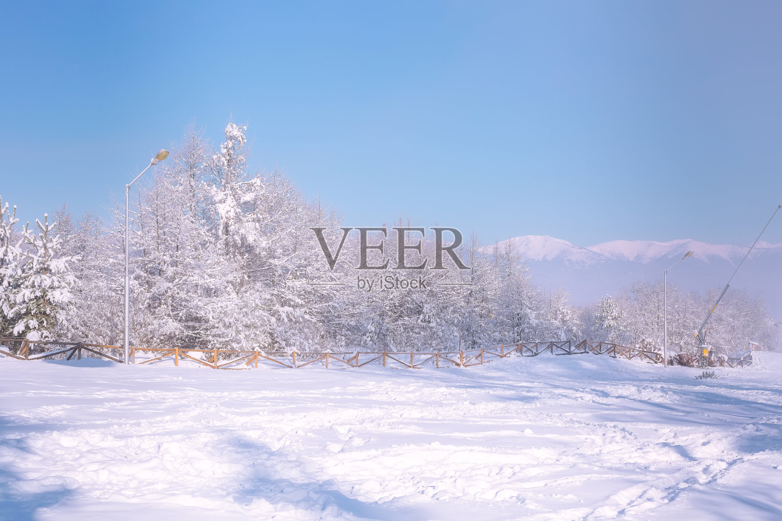 冬天的森林，木栅栏，山峰照片摄影图片