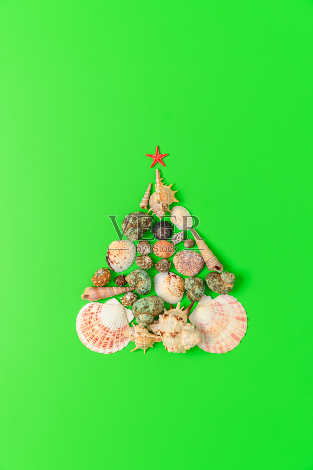 用贝壳和绿色背景上的红色海星制成的另类圣诞树。照片摄影图片