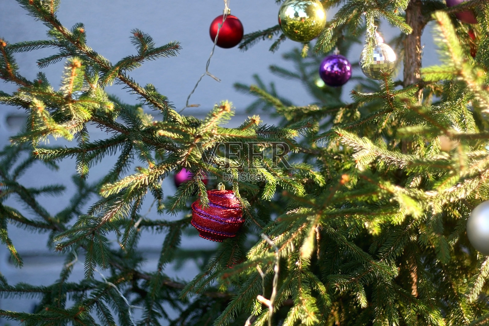 圣诞树照片摄影图片