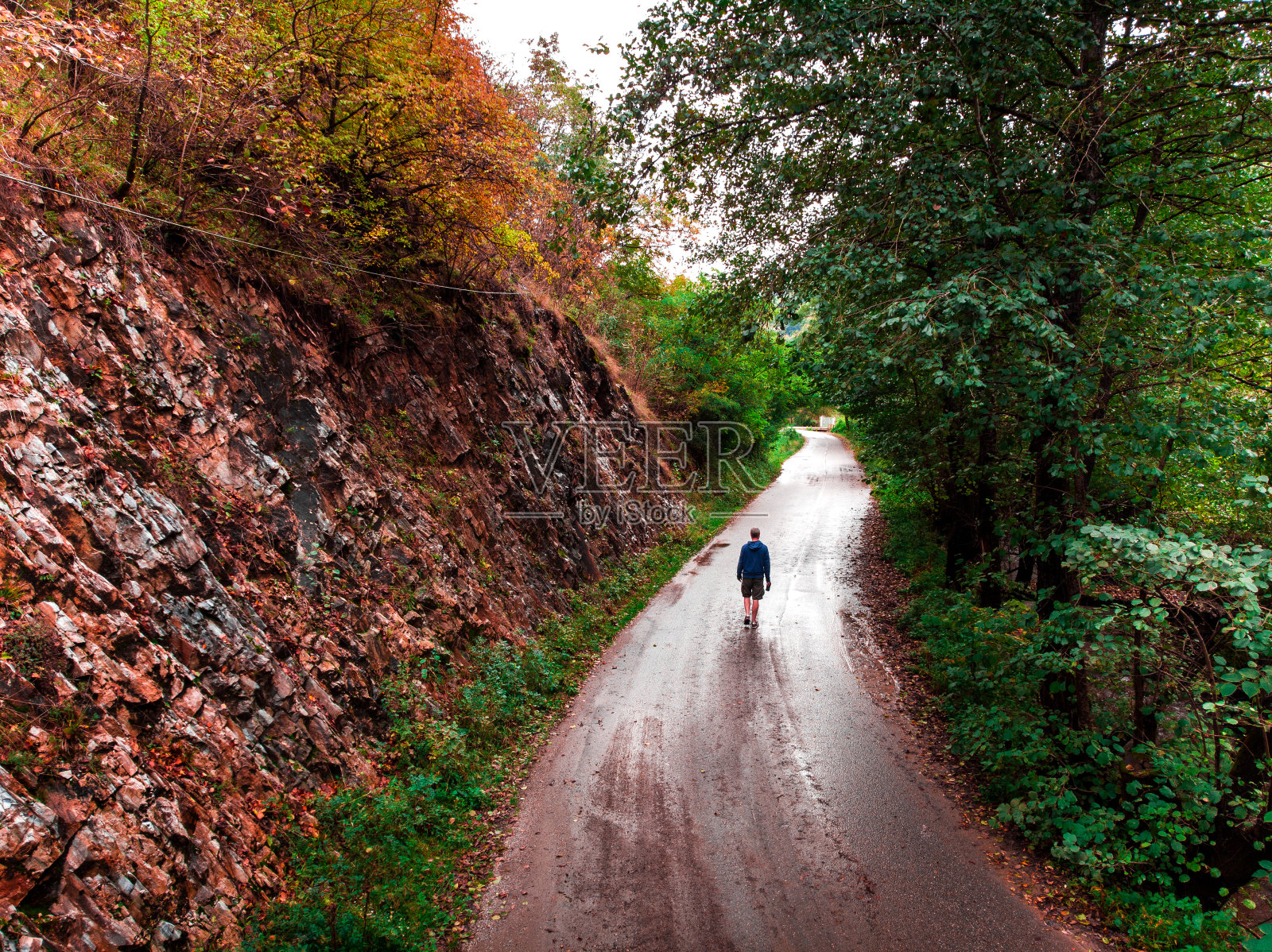 高角度的人走在秋天森林的道路上照片摄影图片