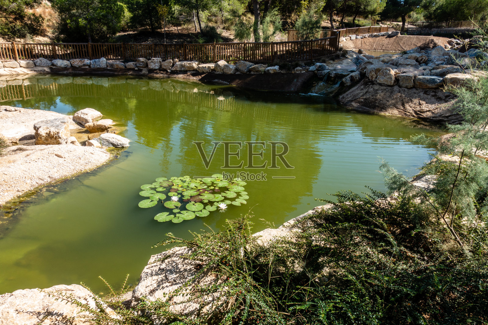 娱乐公园照片摄影图片