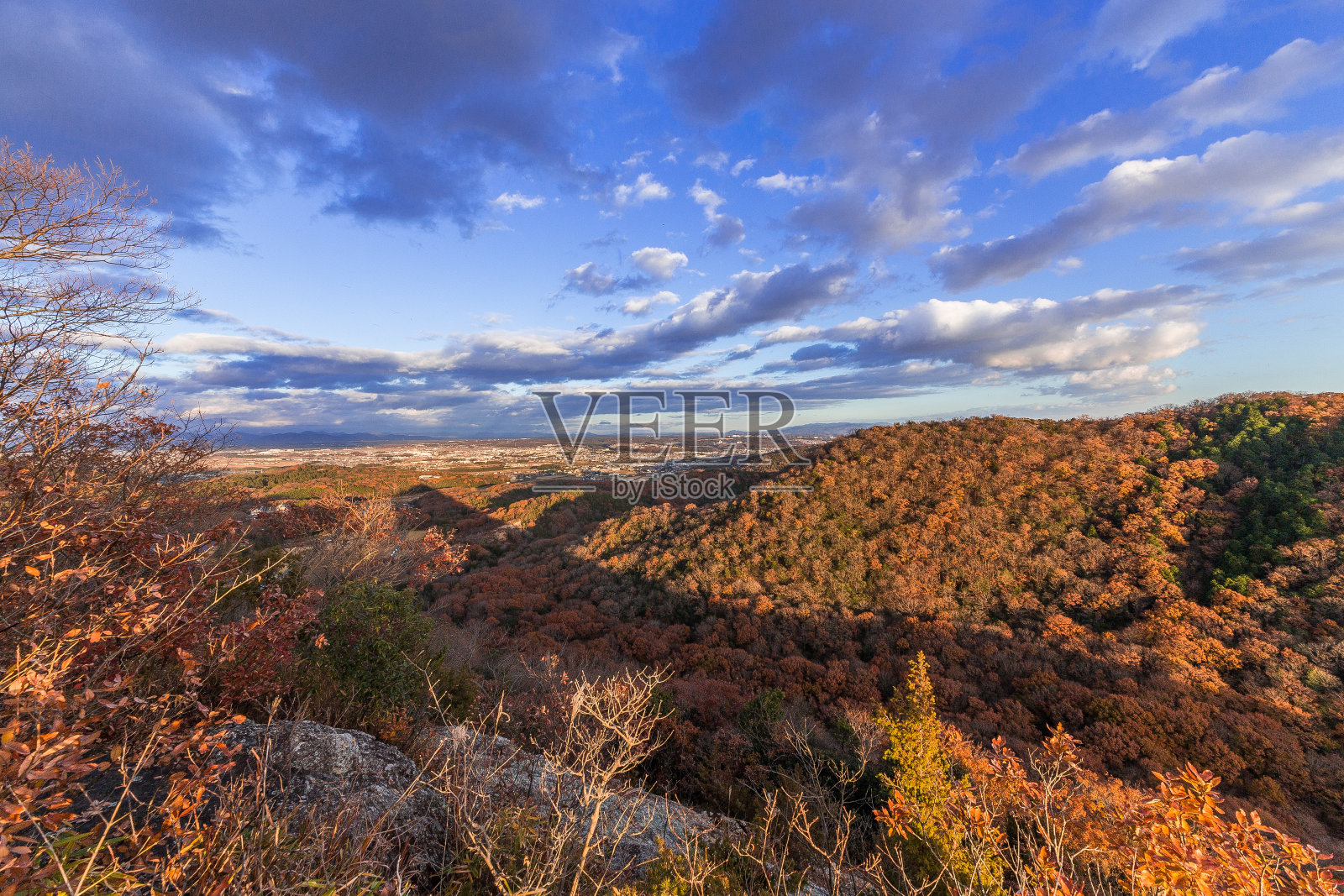 从山顶看秋叶照片摄影图片