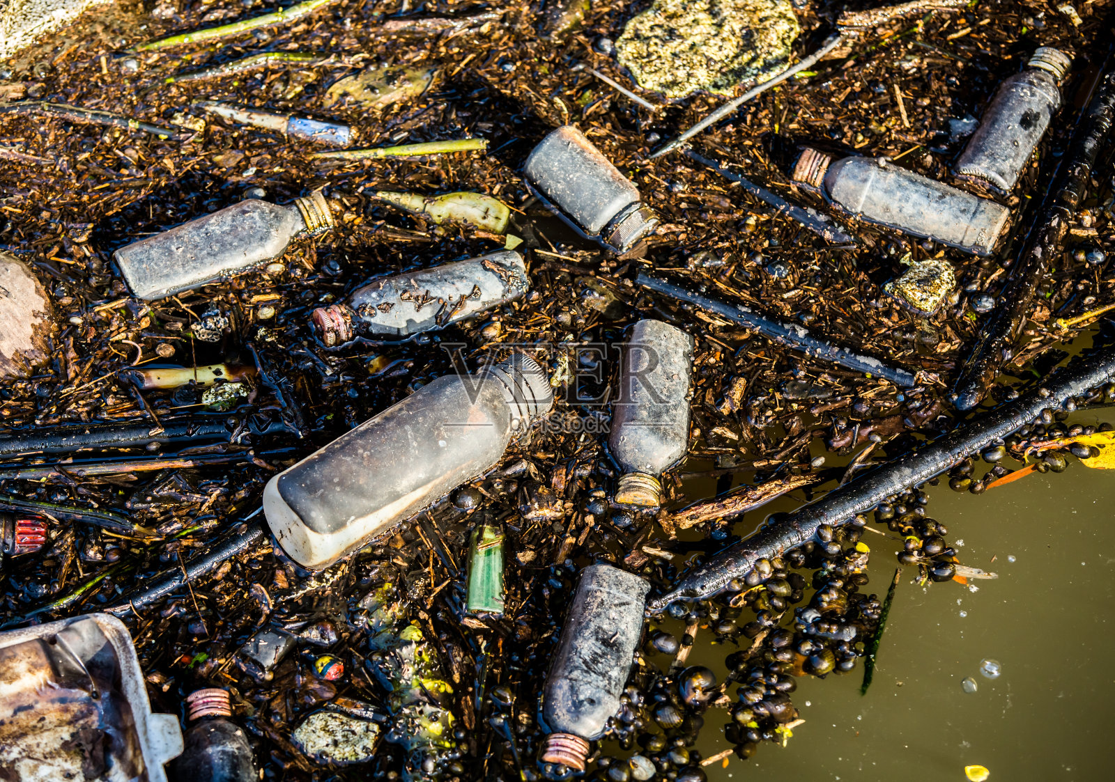 水中的塑料废料照片摄影图片