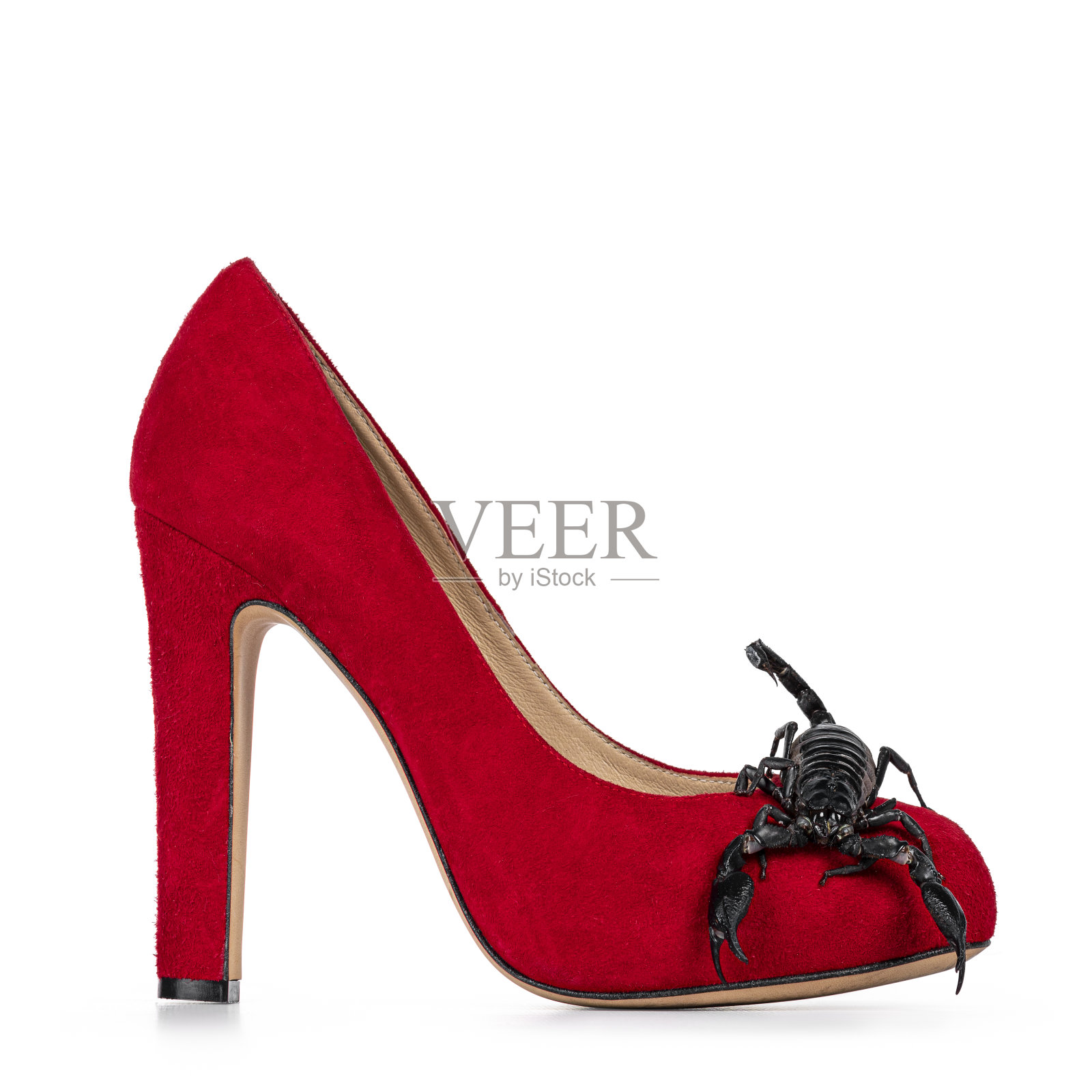 白底红鞋上的蝎子照片摄影图片