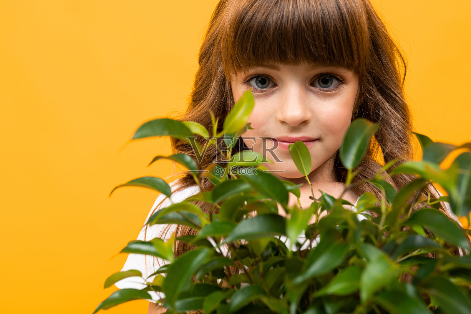 一个女孩的肖像在一个橙色的背景特写上拿着一朵花在她的手的花盆照片摄影图片