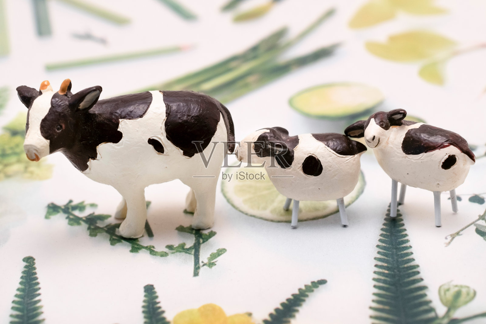 父母和孩子的装饰奶牛照片摄影图片